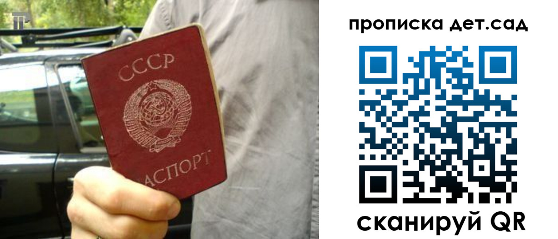 прописка регистрация в Светогорске